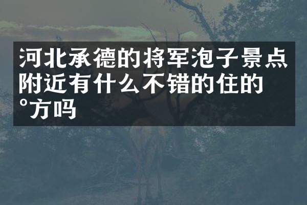河北承德的将军泡子景点附近有什么不错的住的地方吗