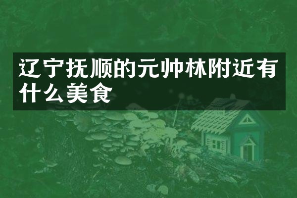 辽宁抚顺的元帅林附近有什么美食