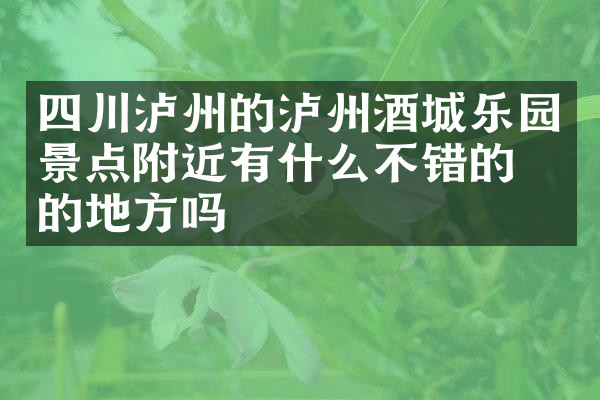 四川泸州的泸州酒城乐园景点附近有什么不错的住的地方吗