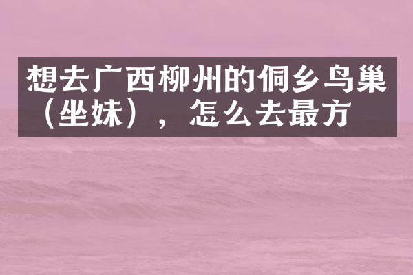 想去广西柳州的侗乡鸟巢（坐妹），怎么去最方便