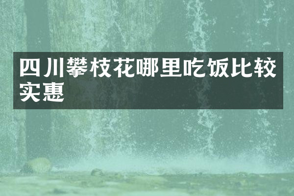 四川攀枝花哪里吃饭比较实惠