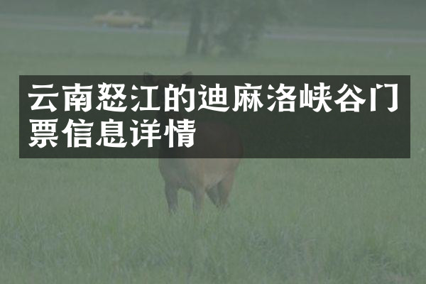云南怒江的迪麻洛峡谷门票信息详情