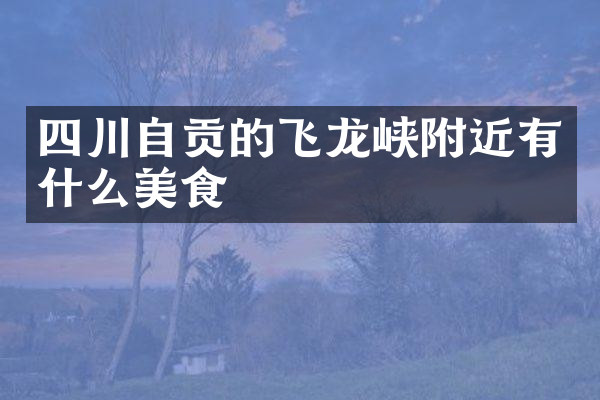 四川自贡的飞龙峡附近有什么美食