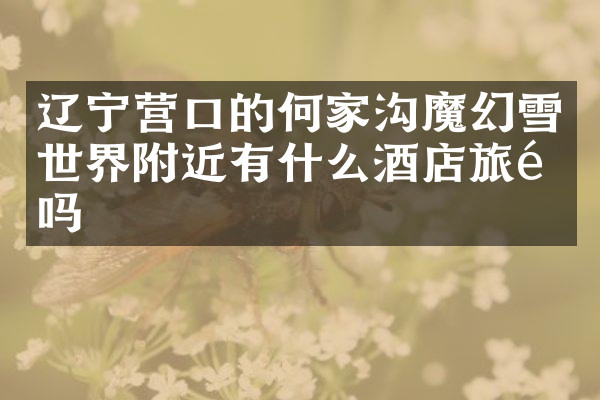 辽宁营口的何家沟魔幻雪世界附近有什么酒店旅馆吗