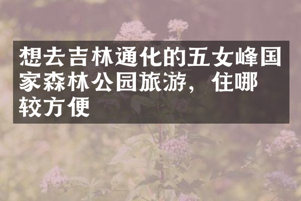 想去吉林通化的五女峰国家森林公园旅游，住哪比较方便