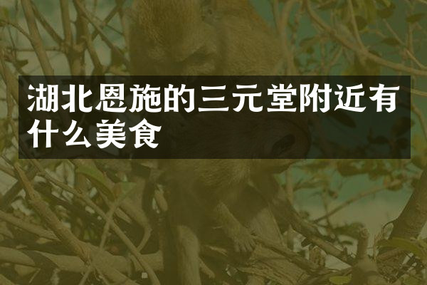 湖北恩施的三元堂附近有什么美食