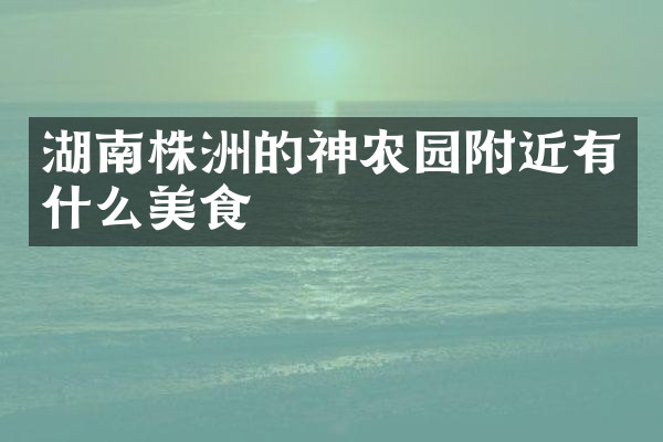 湖南株洲的神农园附近有什么美食