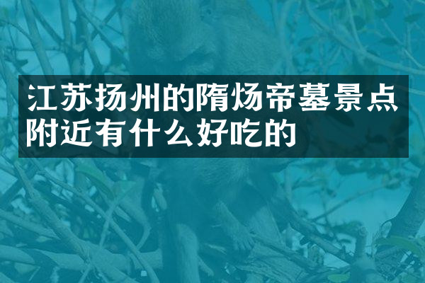 江苏扬州的隋炀帝墓景点附近有什么好吃的