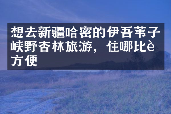 想去新疆哈密的伊吾苇子峡野杏林旅游，住哪比较方便