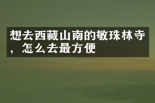 想去西藏山南的敏珠林寺，怎么去最方便