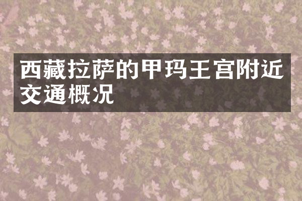 西藏拉萨的甲玛王宫附近交通概况