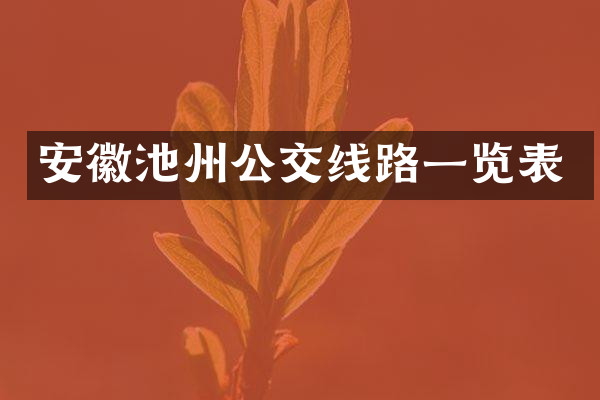 安徽池州公交线路一览表