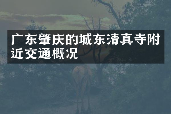 广东肇庆的城东清真寺附近交通概况