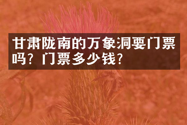 甘肃陇南的万象洞要门票吗？门票多少钱？