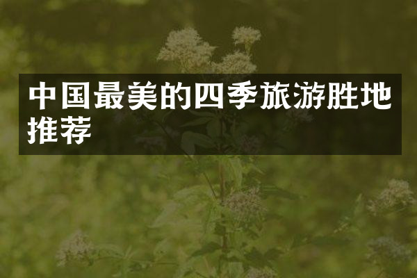 中国最美的四季旅游胜地推荐
