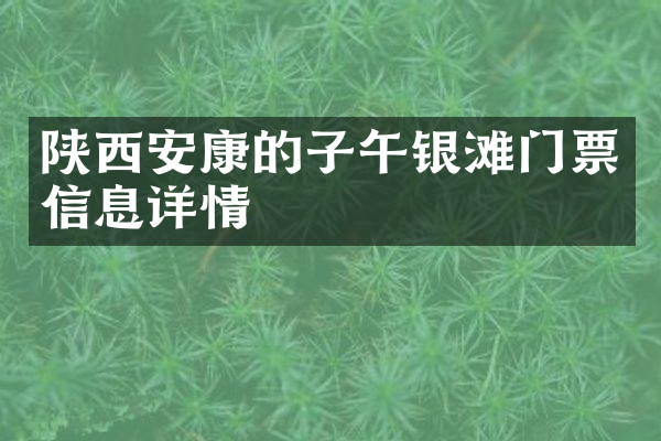 陕西安康的子午银滩门票信息详情