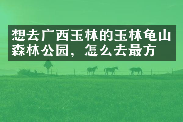 想去广西玉林的玉林龟山森林公园，怎么去最方便