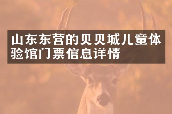 山东东营的贝贝城儿童体验馆门票信息详情