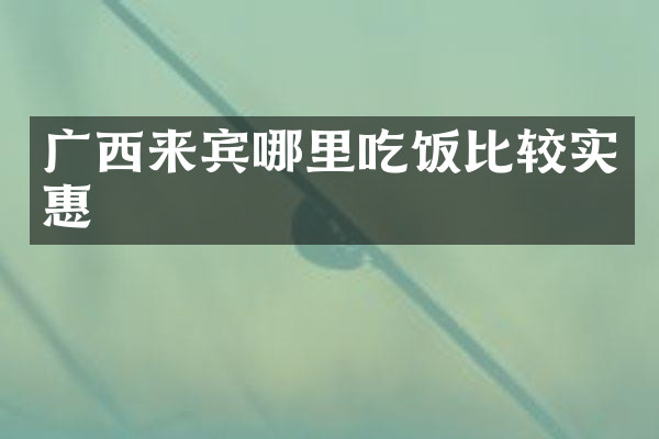 广西来宾哪里吃饭比较实惠