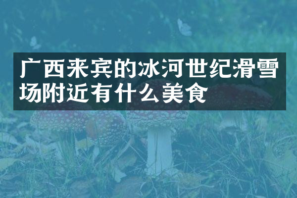 广西来宾的冰河世纪滑雪场附近有什么美食