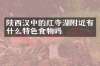 陕西汉中的红寺湖附近有什么特色食物吗