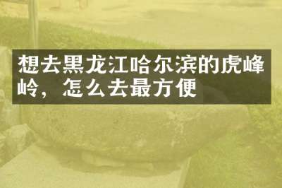 想去黑龙江哈尔滨的虎峰岭，怎么去最方便