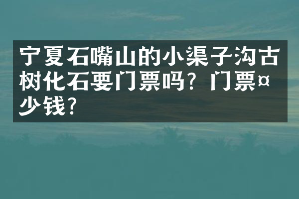 宁夏石嘴山的小渠子沟古树化石要门票吗？门票多少钱？