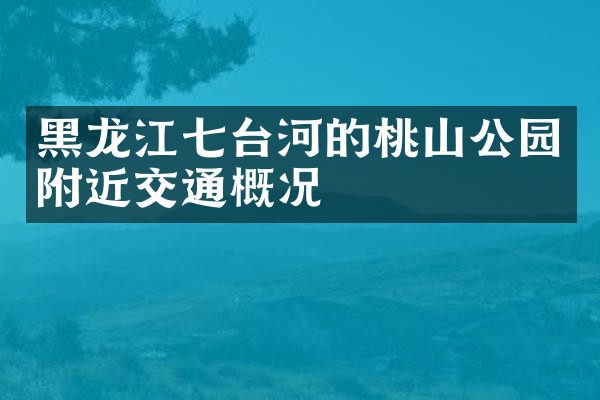 黑龙江七台河的桃山公园附近交通概况