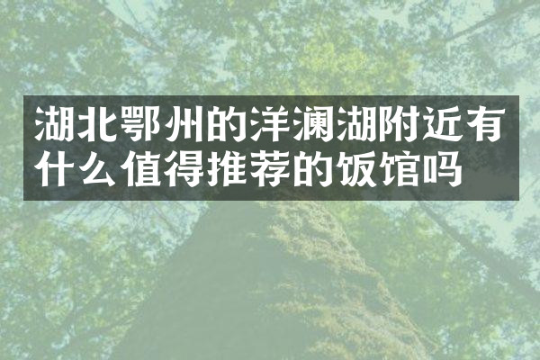 湖北鄂州的洋澜湖附近有什么值得推荐的饭馆吗