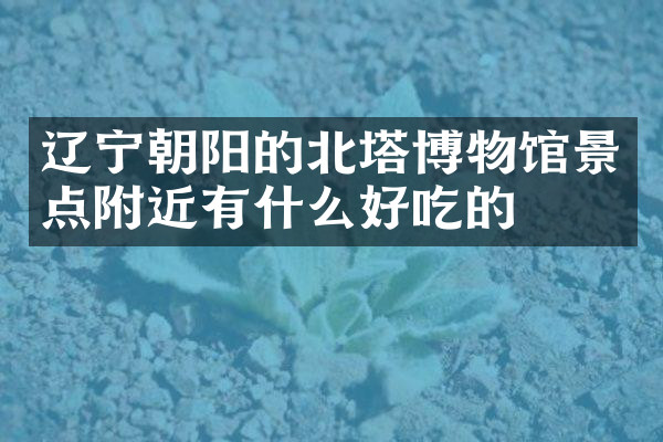 辽宁朝阳的北塔博物馆景点附近有什么好吃的