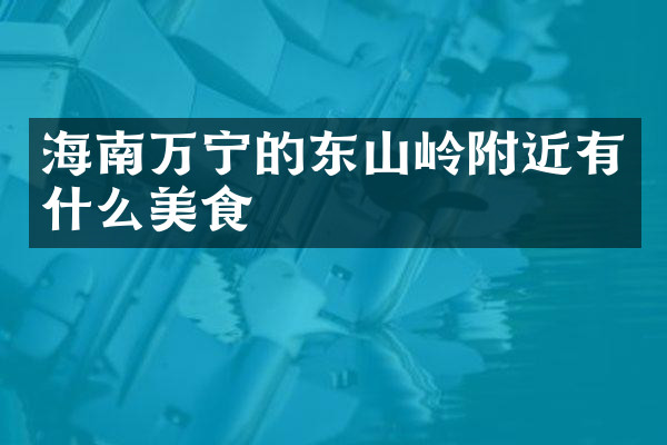 海南万宁的东山岭附近有什么美食