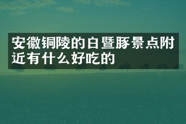 安徽铜陵的白暨豚景点附近有什么好吃的