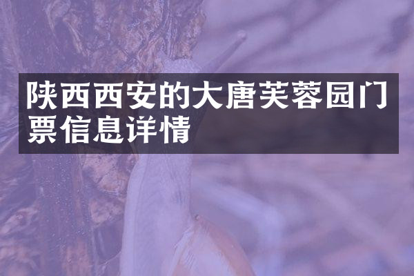 陕西西安的大唐芙蓉园门票信息详情
