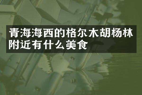 青海海西的格尔木胡杨林附近有什么美食