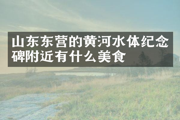 山东东营的黄河水体纪念碑附近有什么美食