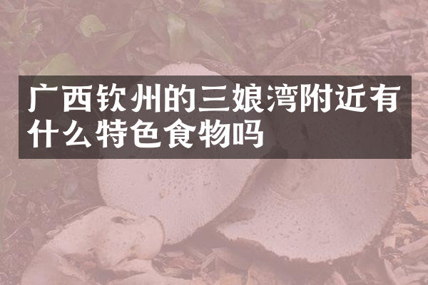 广西钦州的三娘湾附近有什么特色食物吗