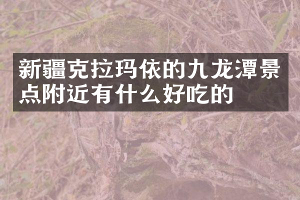 新疆克拉玛依的九龙潭景点附近有什么好吃的