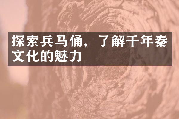 探索兵马俑，了解千年秦文化的魅力