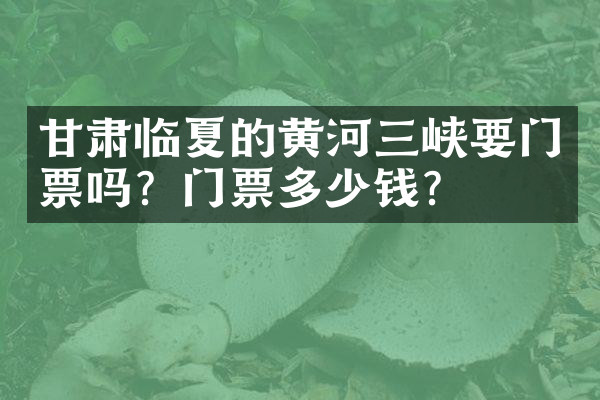 甘肃临夏的黄河三峡要门票吗？门票多少钱？