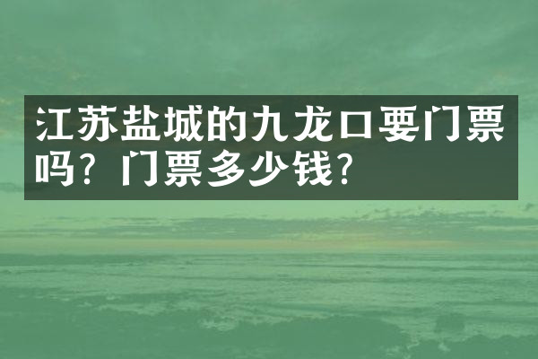 江苏盐城的九龙口要门票吗？门票多少钱？