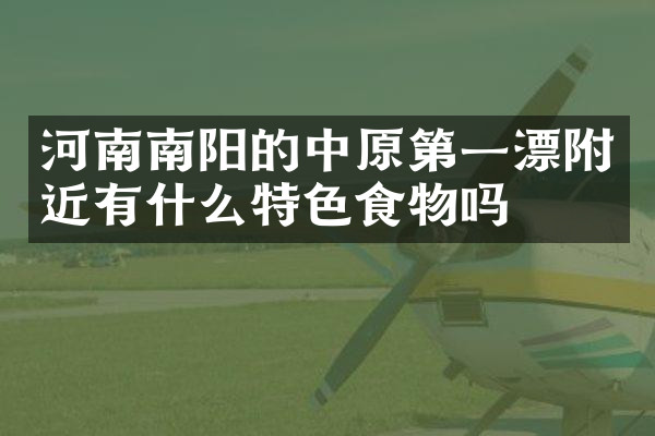 河南南阳的中原第一漂附近有什么特色食物吗