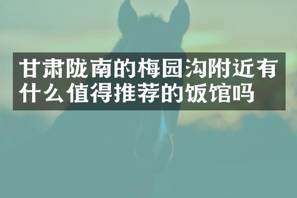 甘肃陇南的梅园沟附近有什么值得推荐的饭馆吗