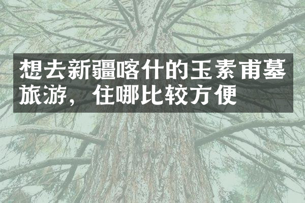 想去新疆喀什的玉素甫墓旅游，住哪比较方便