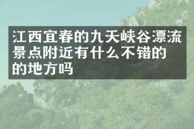 江西宜春的九天峡谷漂流景点附近有什么不错的住的地方吗
