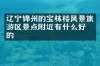 辽宁锦州的宝林楼风景旅游区景点附近有什么好吃的
