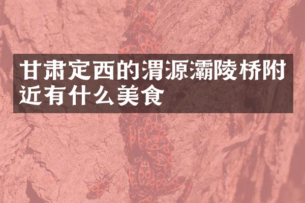 甘肃定西的渭源灞陵桥附近有什么美食
