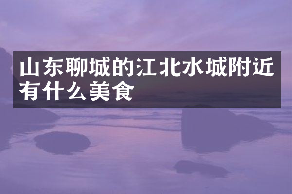 山东聊城的江北水城附近有什么美食