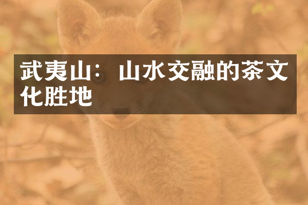 武夷山：山水交融的茶文化胜地
