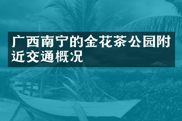 广西南宁的金花茶公园附近交通概况