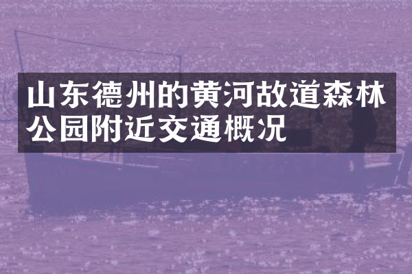 山东德州的黄河故道森林公园附近交通概况